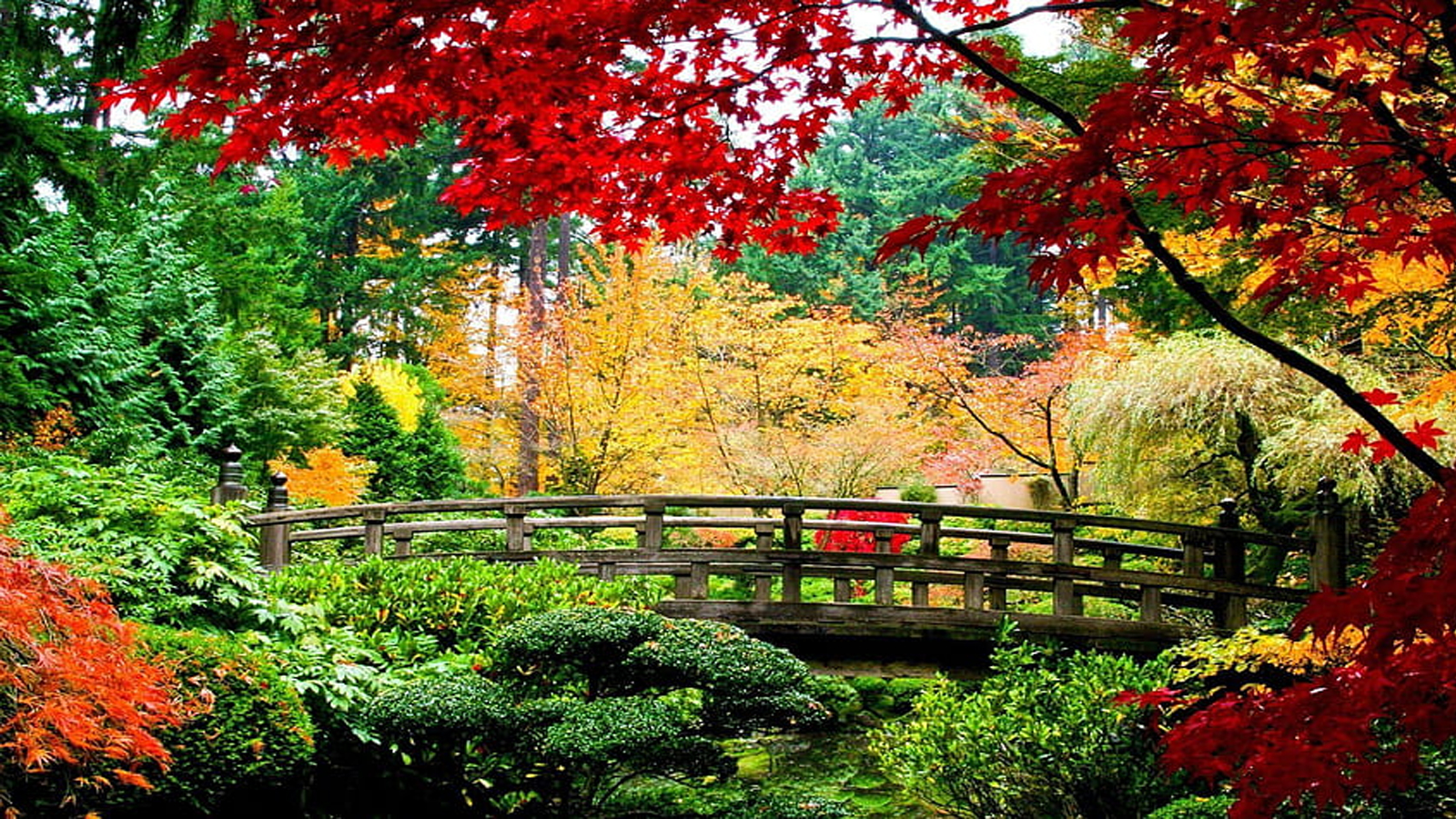 Kashmir Tour Travel Packages